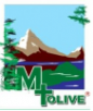 Mt Olive Nigeria Limited logo